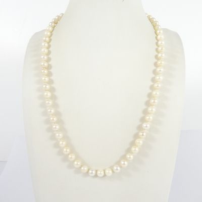 a white pearl necklace on a mannequin neck