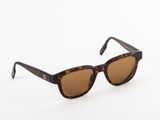 a pair of brown sunglasses on a white background