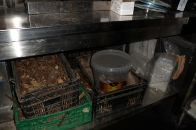 de nombreux récipients contenant de la nourriture sur l'étagère de la cuisine