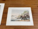 two pictures of elephants and people on the beach