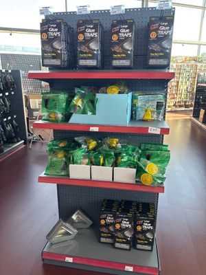 many items on the shelves in the store