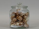 a glass jar filled with shells on a white surface
