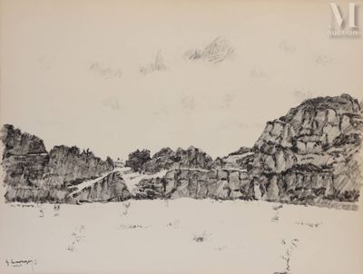 un dessin à l'encre représentant un paysage rocheux avec des arbres au loin