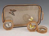 a suitcase with butterflies and other things in it