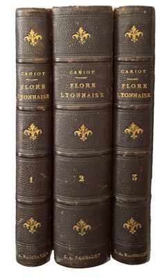 [BOTANIQUE]. BALBIS (Giovanni Battista). Flore lyonnaise, ou…