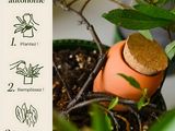 a picture of a potted plant with a cork stopper in it