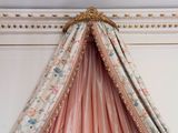 a bed with a pink canopy hanging from it ' s ceiling