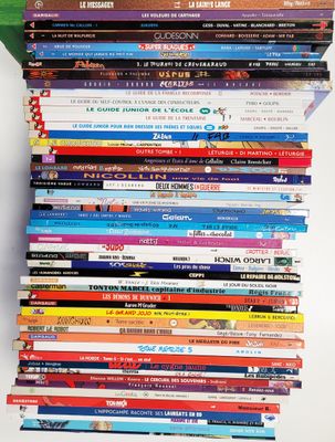 Carton de 52 bandes dessinées diverses