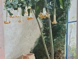 tableau représentant une plante en pot devant une fenêtre donnant sur un jardin