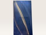 une peinture abstraite représentant des fleurs bleues et blanches sur un mur blanc
