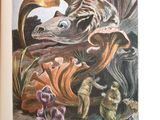 un livre ouvert sur lequel figure l'image d'un poisson et d'autres animaux