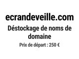 Photo 1/1 du lot