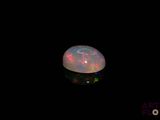 an oplite in the dark with a black background