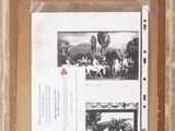 a picture of an old picture of a horse race