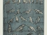 drawing of a flock of birds sitting on top of a blue surface