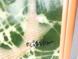 une photo représentant un gros plan d'une photo d'une personne