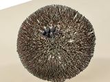 a metal object that looks like a sea urn on top of a table