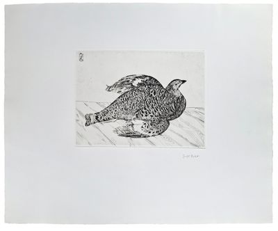 un dessin représentant un oiseau posé par terre