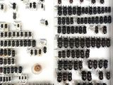 a lot of beetles that are on display in a glass case