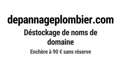 Nom de domaine depannageplombier.