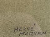 Photo 3/4 du lot