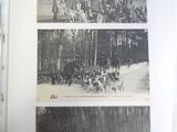 two pictures of horses and people in the woods