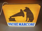 Il y a un chien noir et blanc sur le sac jaune.