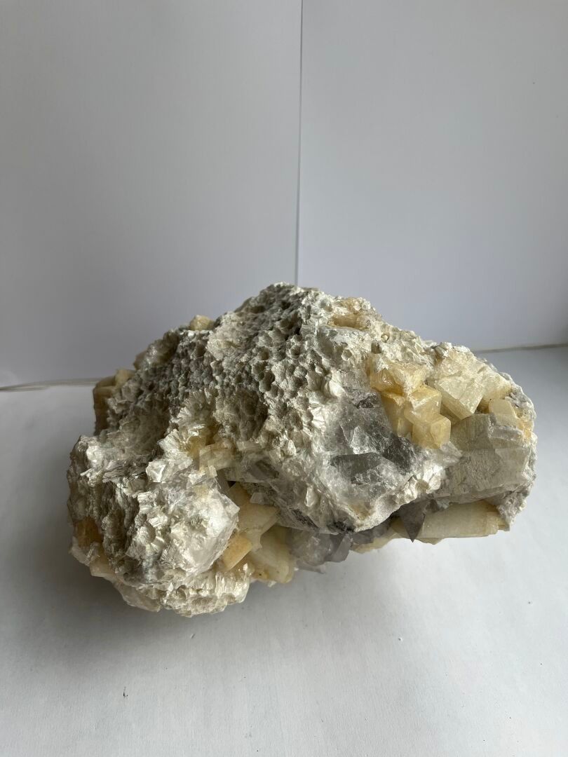 Objets d'art & Curiosités