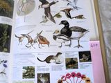 un livre illustré d'oiseaux et d'insectes