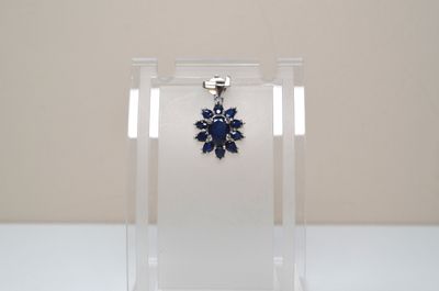 a close up of a blue flower on a clear display case