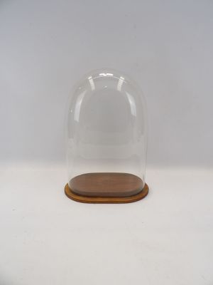un dôme en verre reposant sur un socle en bois, posé sur une surface blanche