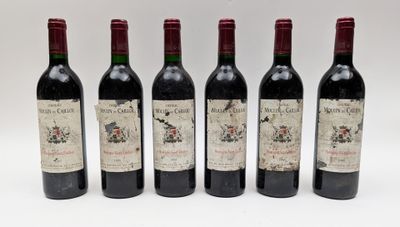 quatre bouteilles de vin sont alignées sur une surface blanche
