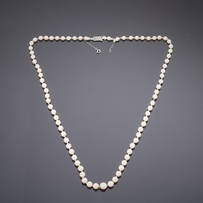 un collier de perles blanches avec un fermoir en argent sur fond gris