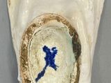 a white shell with a blue bird inside of it