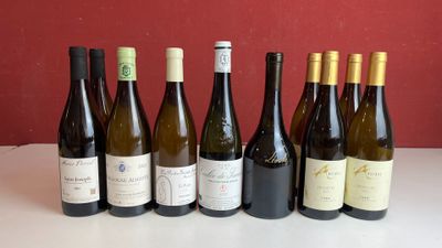 Six bouteilles de vin sont alignées sur une table devant un mur rouge.