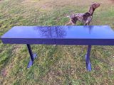 un chien qui se tient à côté d'un banc bleu
