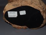 a rock that has two tags on it