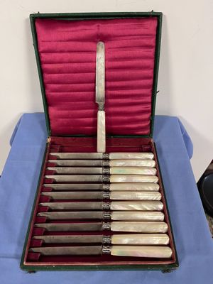 a case with a set of knives inside of it