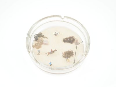 une photo d'un petit plat en verre contenant quelques plantes