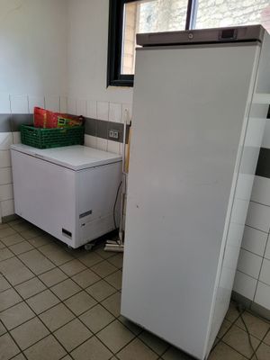 congélateur coffre négatif Electronic Control. Long : 1,10…