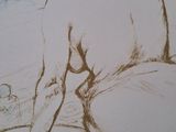 a drawing of a woman washing her hands in a tub