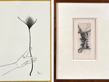 two framed pictures of a hand holding a flower and a hand holding a flower