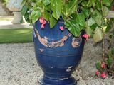 a large blue vase with flowers in it on the ground