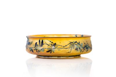 a yellow bowl with birds on it on a white surface