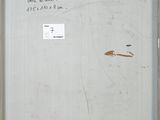 a picture of a piece of paper on the wall