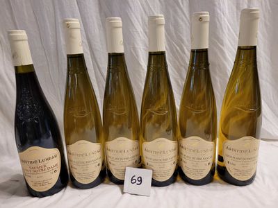 Lot de 6 bouteilles dont 5 bouteilles GROS PLANT DU PAYS NAN…