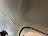 a dog that is sitting in the back seat of a car