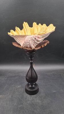 Bénitier doré à la feuille sur un pied en érable teinté et u…