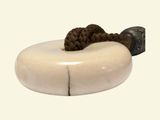 a soap dish with a rope on top of it