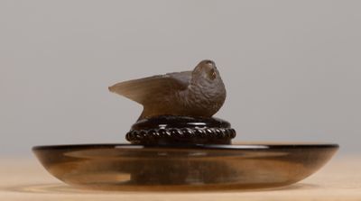 un oiseau perché au-dessus d'un bol